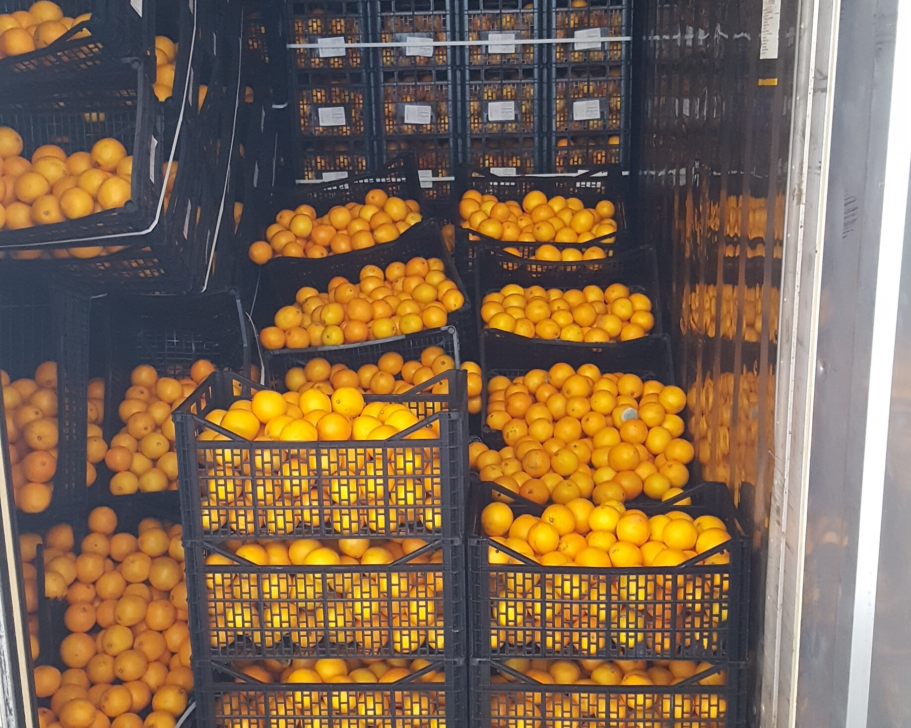 897b90d6-3cc4-4be3-8785-5a7c3abb80bf